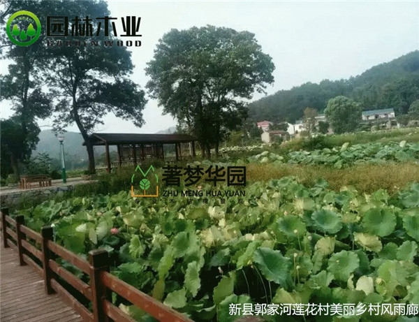 湖北青青视频污黄色在线观看风雨廊